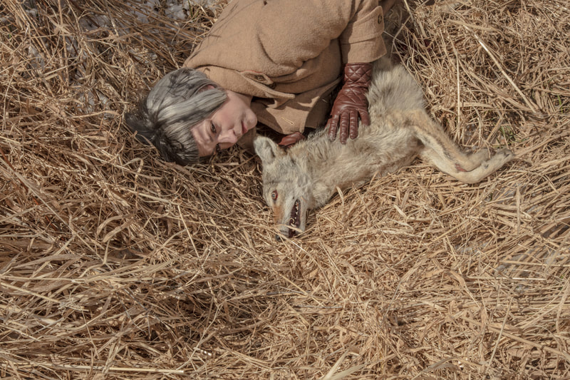 The female artist who has a short gray bob haircut is wearing a camel coat and tobacco brown leather gloves. She lies curled against a dead coyote on a bed of dried grasses, her hands touching it's neck and shoulder.